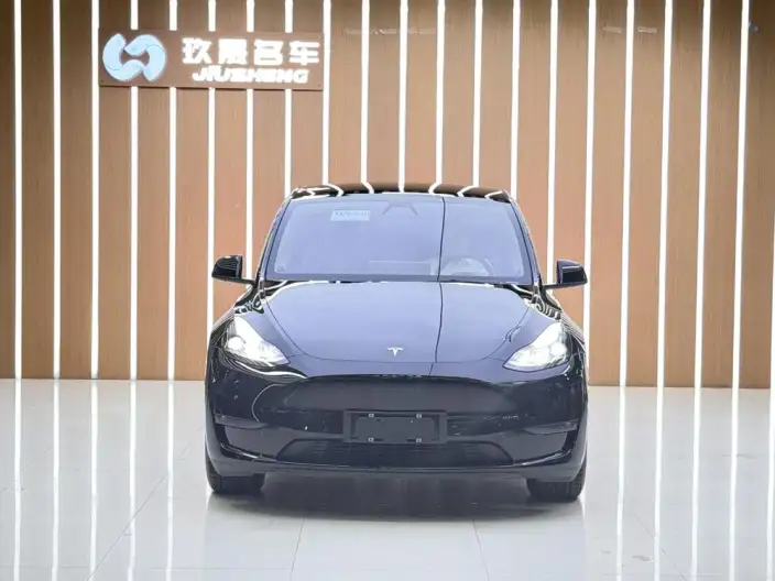 Model Y 2021 Model Standard Battery Life Rear-wheel drive version – фото 2