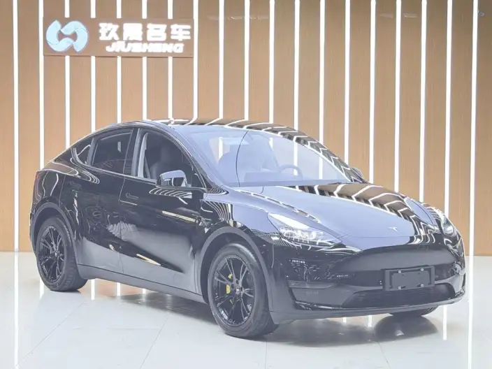 Model Y 2021 Model Standard Battery Life Rear-wheel drive version – фото 3