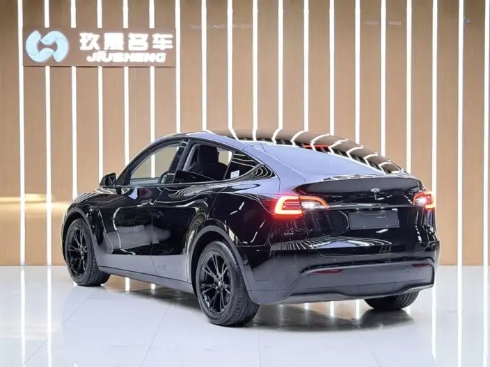 Model Y 2021 Model Standard Battery Life Rear-wheel drive version – фото 4