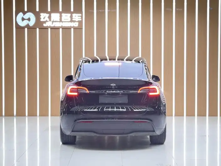 Model Y 2021 Model Standard Battery Life Rear-wheel drive version – фото 5
