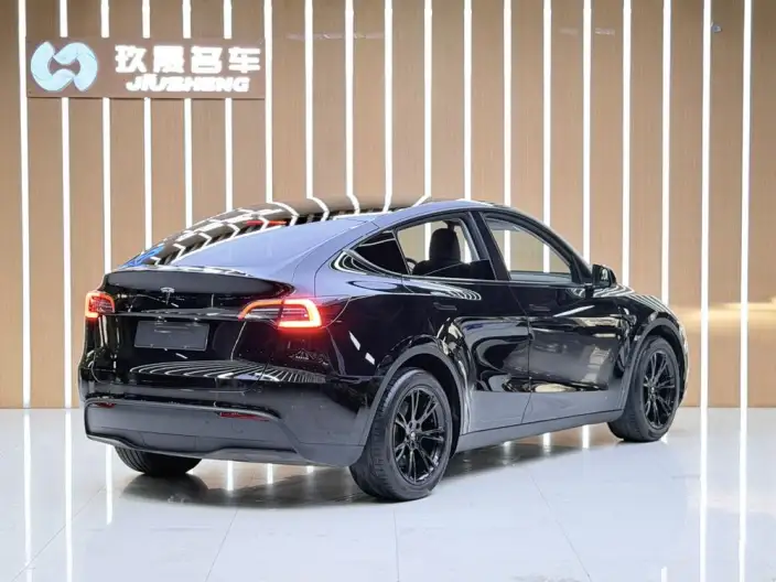 Model Y 2021 Model Standard Battery Life Rear-wheel drive version – фото 6