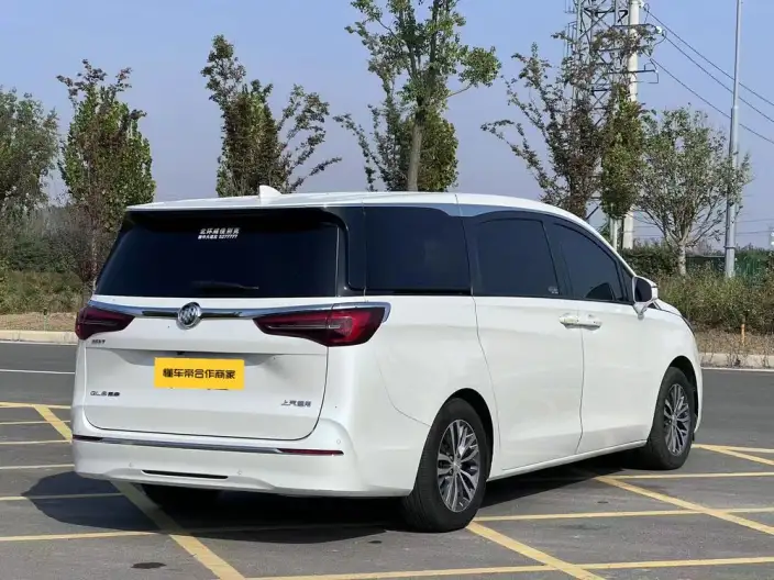 Buick GL8 2022 Model ES Luzun 653T Luxury Model – фото 6