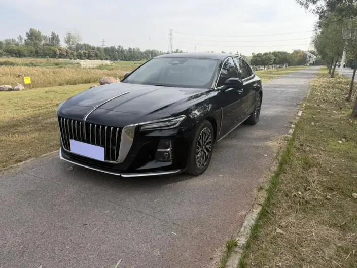Hongqi H5 2025 Model 2.0T Automatic Flag Enjoy Edition