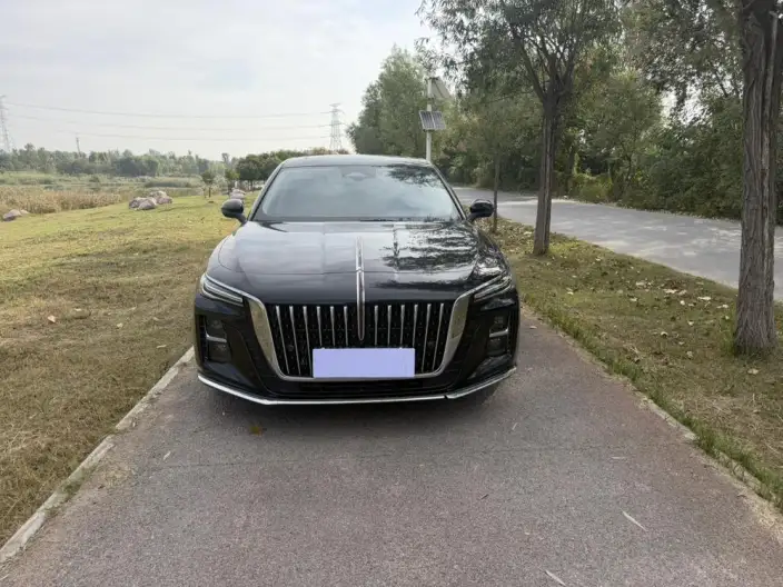 Hongqi H5 2025 Model 2.0T Automatic Flag Enjoy Edition