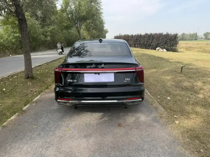 Hongqi H5 2025 Model 2.0T Automatic Flag Enjoy Edition – фото 5
