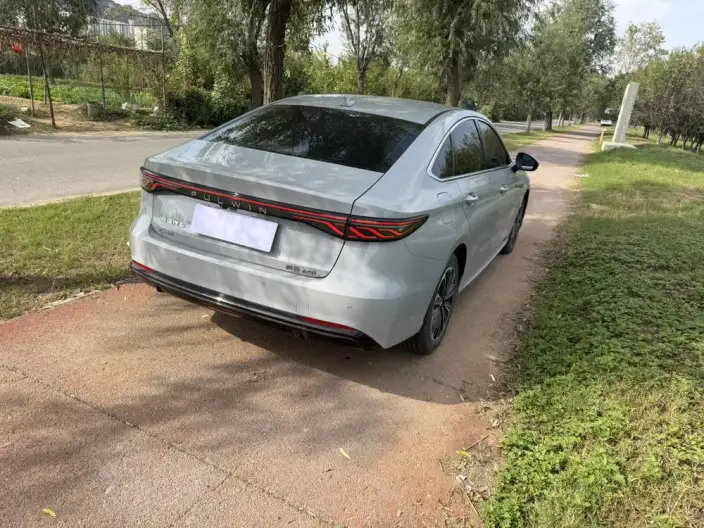 Fengyun A8L 2025 Model 145km Standard Model – фото 5