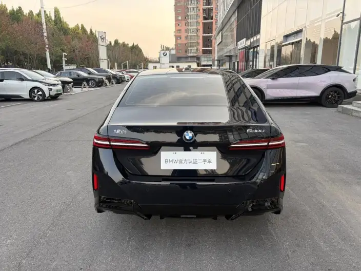 BMW 5 Series 2025 Model 530Li Leading Model M Sports Set – фото 4