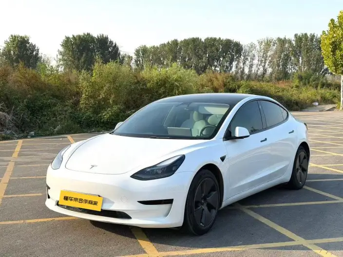 Model 3 2022 Model Rear-wheel drive version – фото 1