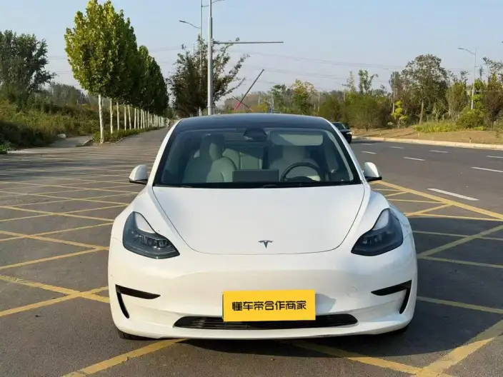 Model 3 2022 Model Rear-wheel drive version – фото 2