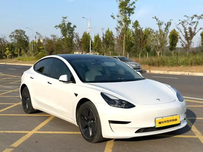 Model 3 2022 Model Rear-wheel drive version – фото 3