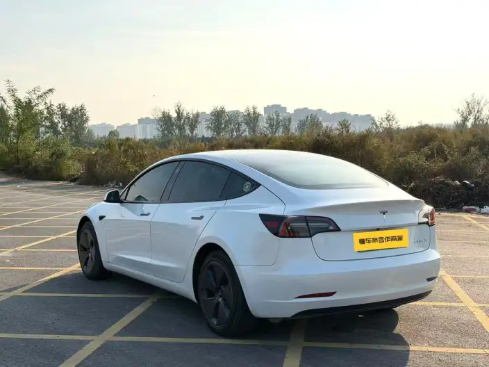 Model 3 2022 Model Rear-wheel drive version – фото 4