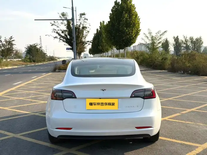 Model 3 2022 Model Rear-wheel drive version – фото 5