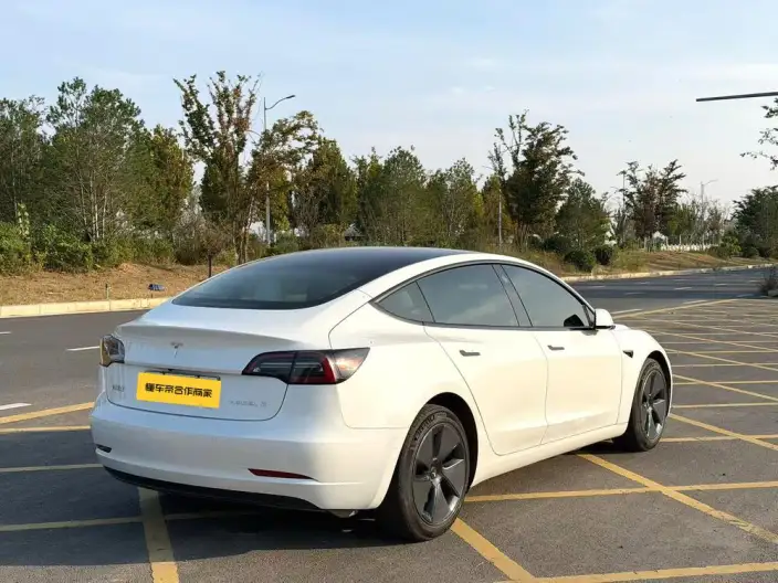 Model 3 2022 Model Rear-wheel drive version – фото 6