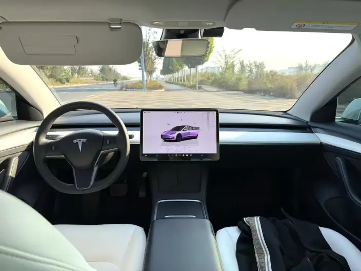 Model 3 2022 Model Rear-wheel drive version – фото 7
