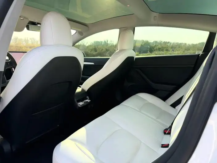 Model 3 2022 Model Rear-wheel drive version – фото 9