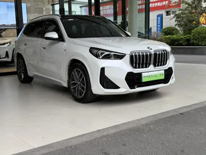 BMW iX 1 2025 Model eDrive25L X Design Set – фото 3