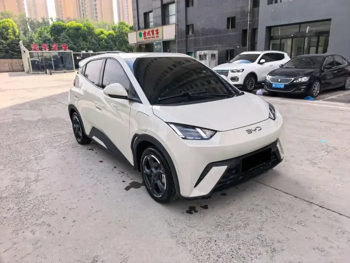 BYD Seagull 2024 Model Honor Edition 405KM Feixiang Edition – фото 3