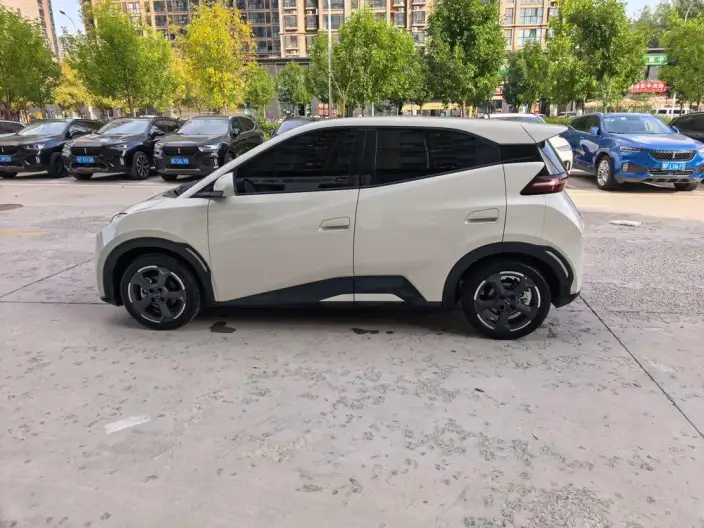 BYD Seagull 2024 Model Honor Edition 405KM Feixiang Edition – фото 4
