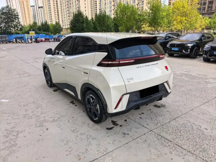BYD Seagull 2024 Model Honor Edition 405KM Feixiang Edition – фото 5