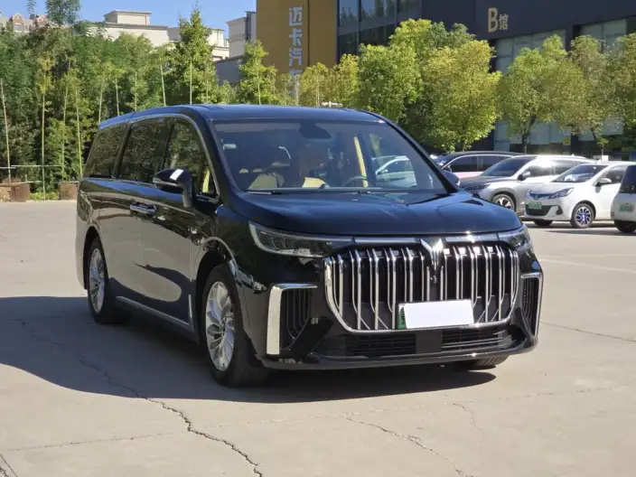 VOYAH Dreamer PHEV 2024 Model Ultra-long Endurance Superior Edition – фото 3