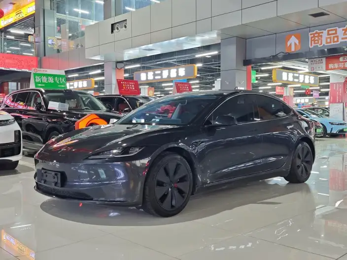 Model 3 2023 Model Long Battery Life Pro All-wheel drive version – фото 1