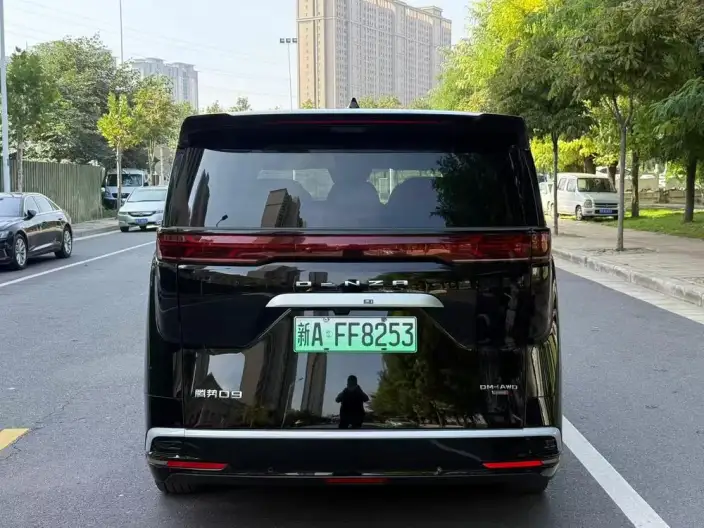 DENZA D9 DM 2025 Model Smart Driving Edition 1020 4WD Exclusive Model – фото 5