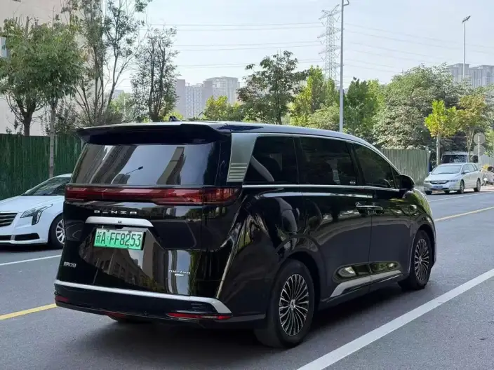 DENZA D9 DM 2025 Model Smart Driving Edition 1020 4WD Exclusive Model – фото 6