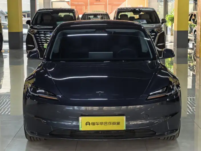 Model 3 2023 Model Long Battery Life Pro All-wheel drive version – фото 2