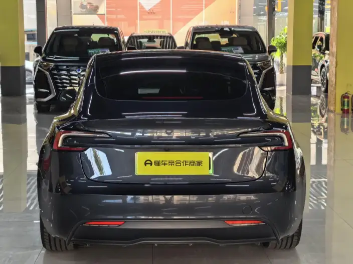 Model 3 2023 Model Long Battery Life Pro All-wheel drive version – фото 5