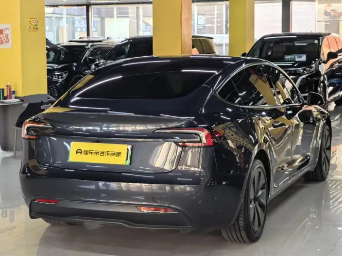 Model 3 2023 Model Long Battery Life Pro All-wheel drive version – фото 6