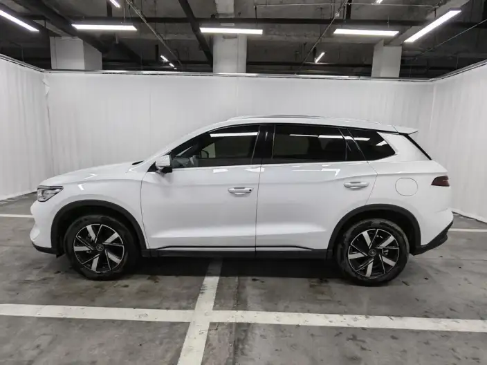 BYD Song Pro DM 2024 Model DM-i Honor Edition 71km Pilot Model – фото 4