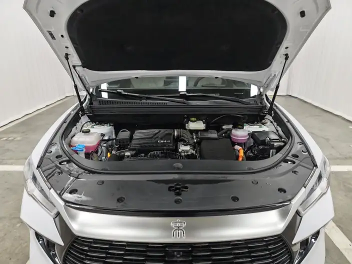 BYD Song Pro DM 2024 Model DM-i Honor Edition 71km Pilot Model – фото 10