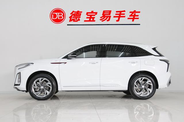 Hongqi HS3 PHEV 2024 115km Jinwei – фото 8