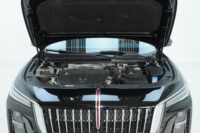Hongqi H5 2025 2.0T Automatic Flag Smooth – фото 6