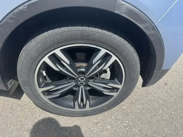 BIAC EX3 2019 Model R600 Jinshang Edition – фото 7