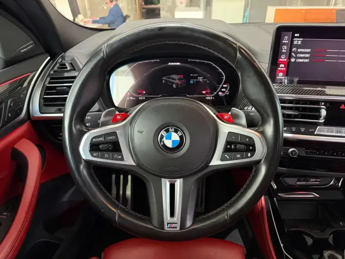 BMW X4 M 2022 Model X4 M Thunder Edition – фото 10