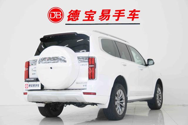 Tank 500 2022 Sport Edition Zaojing 7-seat – фото 5