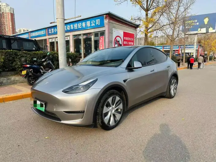 Model Y 2021 Model Standard Battery Life Rear-wheel drive version – фото 1