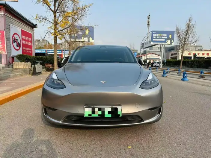 Model Y 2021 Model Standard Battery Life Rear-wheel drive version – фото 2