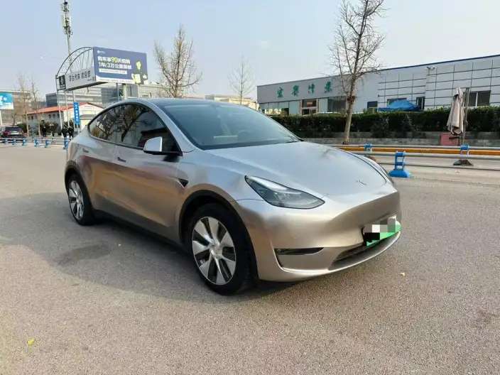 Model Y 2021 Model Standard Battery Life Rear-wheel drive version – фото 3