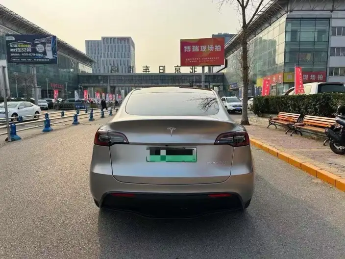 Model Y 2021 Model Standard Battery Life Rear-wheel drive version – фото 5