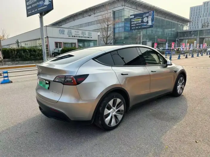 Model Y 2021 Model Standard Battery Life Rear-wheel drive version – фото 6
