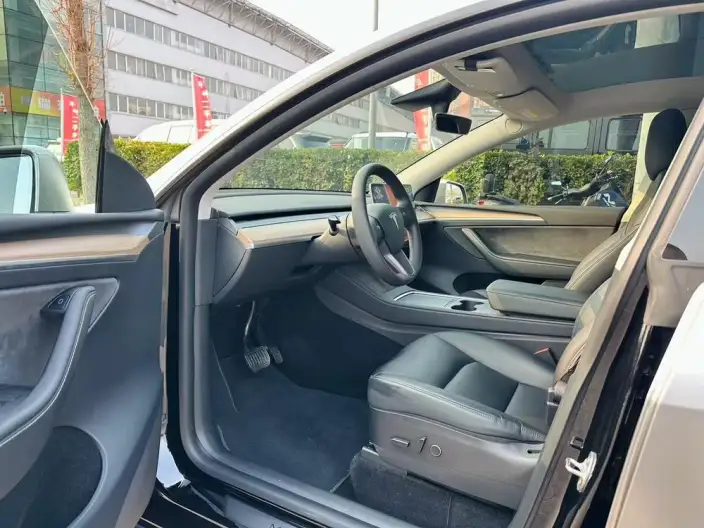 Model Y 2021 Model Standard Battery Life Rear-wheel drive version – фото 8