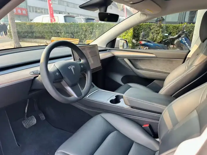 Model Y 2021 Model Standard Battery Life Rear-wheel drive version – фото 10