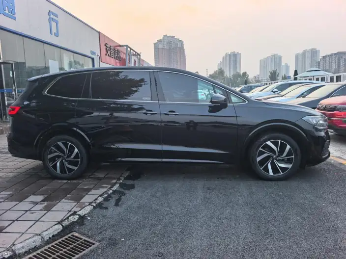 Viloran 2022 Model 330TSI Deluxe Edition – фото 7