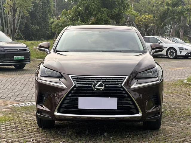 Lexus NX 2017 300 FWD F Sport – фото 2