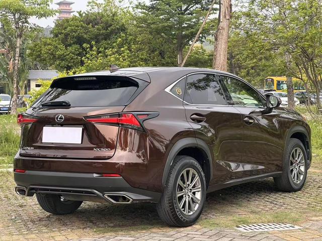 Lexus NX 2017 300 FWD F Sport – фото 15