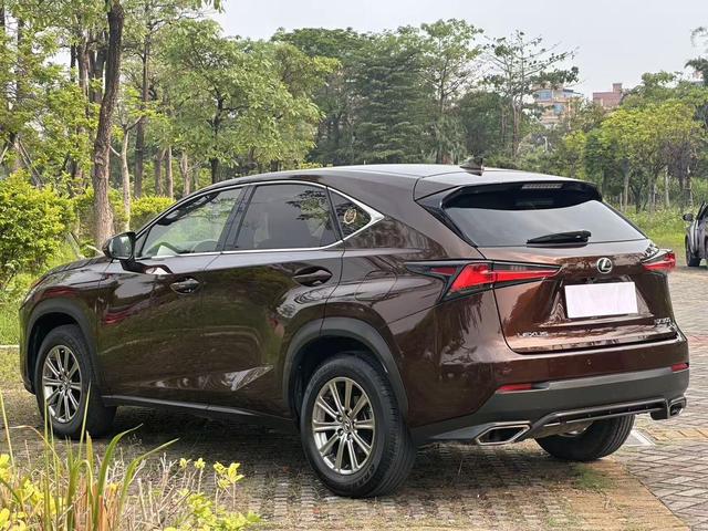 Lexus NX 2017 300 FWD F Sport – фото 16