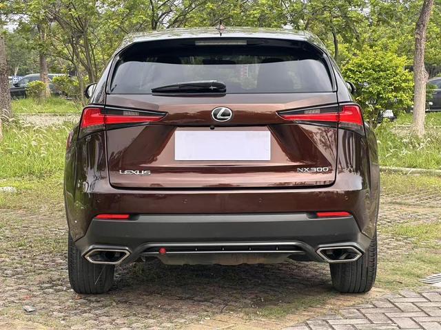 Lexus NX 2017 300 FWD F Sport – фото 17