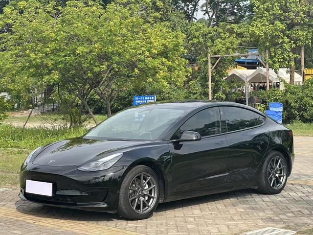 Tesla Model 3 2020 Standard Range RWD Upgraded – фото 1